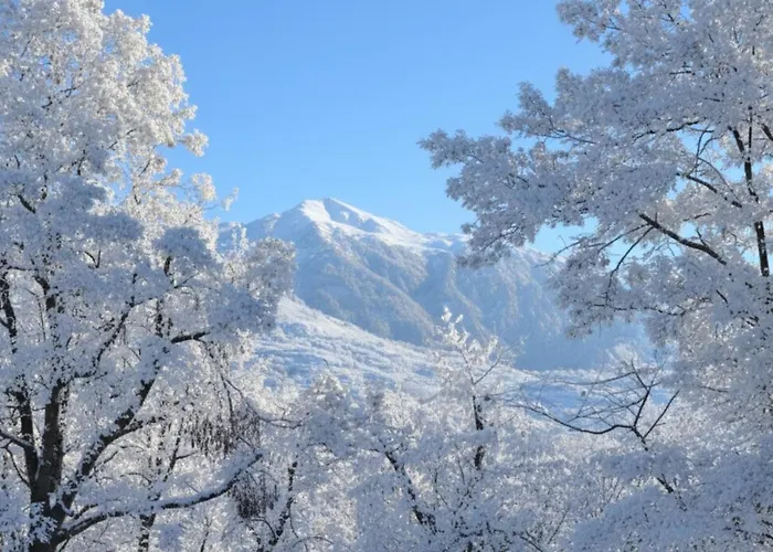 Chata Woodmood With Leuk