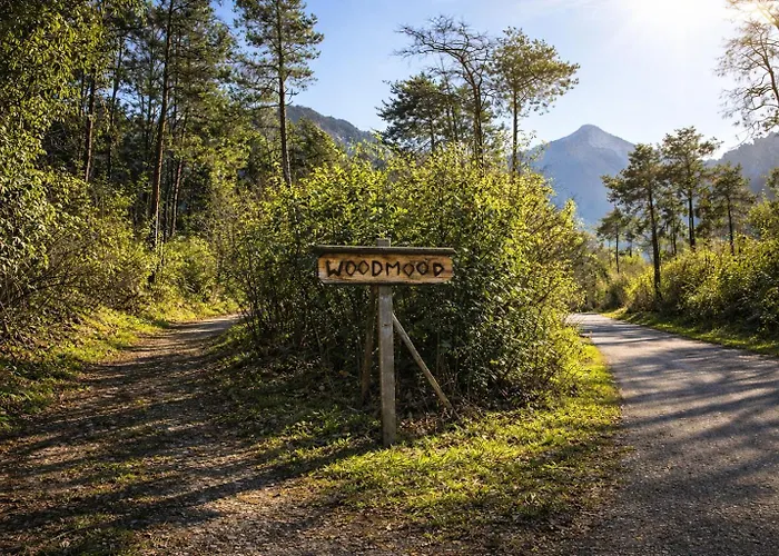 Chata Woodmood With *