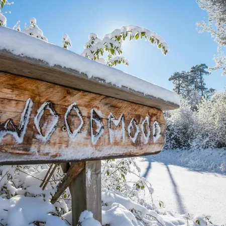 Woodmood With Hytte *