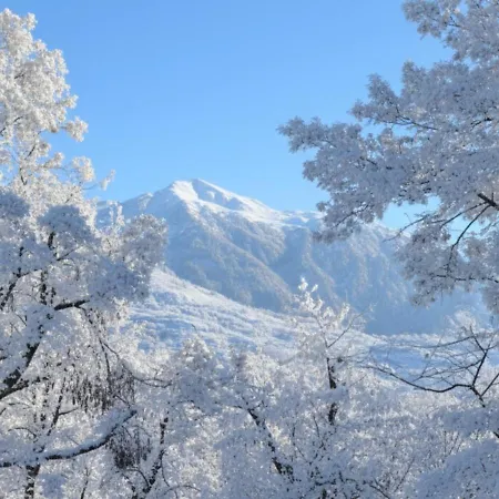 Hytte Woodmood With Leuk