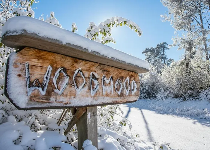 Woodmood With 롯지 *